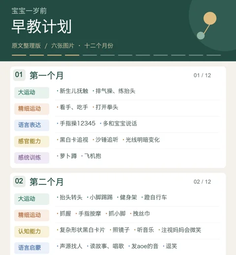 一岁前早教计划概览预览